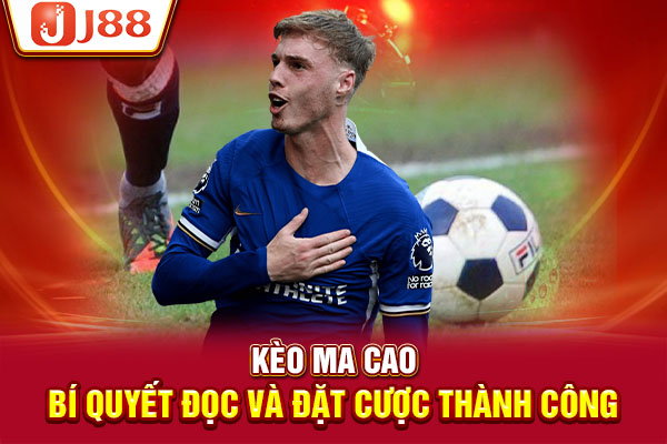 Kèo Ma Cao - Bí Quyết Đọc Và Đặt Cược Thành Công