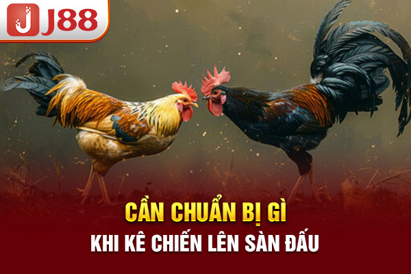 Cần chuẩn bị gì khi kê chiến lên sàn đấu