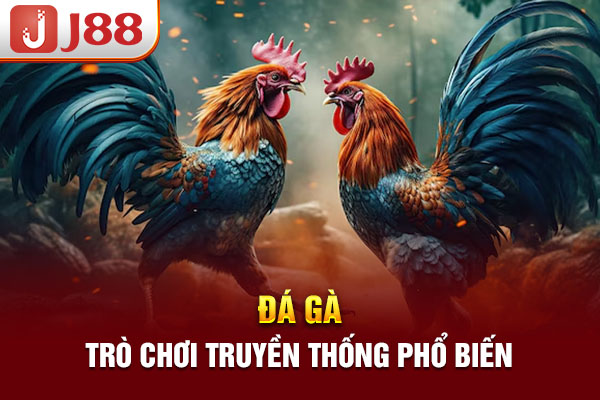 Đá gà - trò chơi truyền thống phổ biến