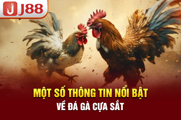 Một số thông tin nổi bật về đá gà cựa sắt